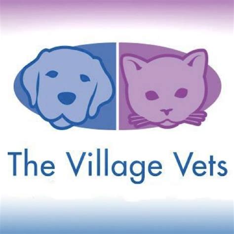 the village vets decatur reviews|The Village Vets .